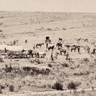 Camp of the Snake River Division at Fort Hall, Idaho, Yellowstone 1873 - Muir Way - Photograph