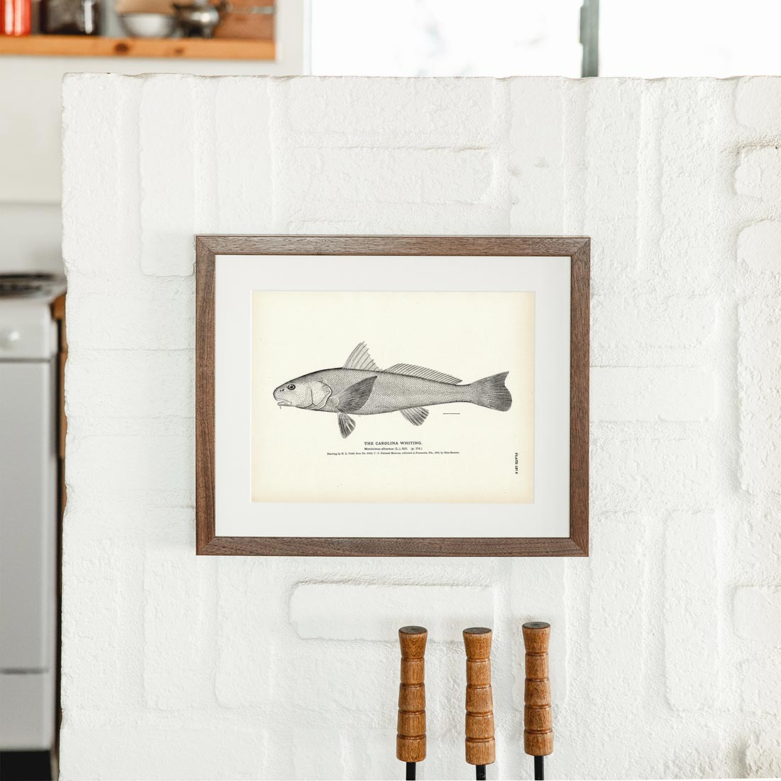 Carolina Whiting Art Print - Muir Way - Fisheries