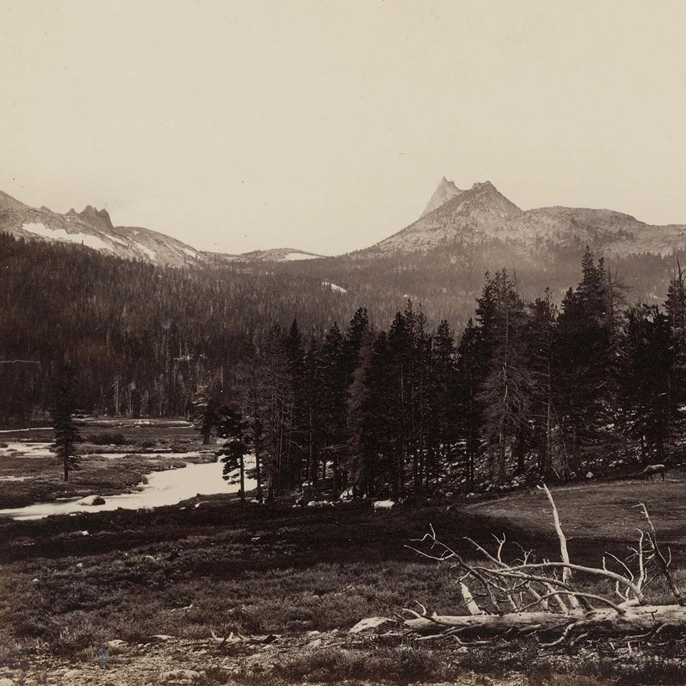 Cathedral Peak from Soda Springs, Yosemite 1868 - Muir Way - Photograph