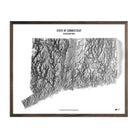 Connecticut Elevation Map - Muir Way - Elevation