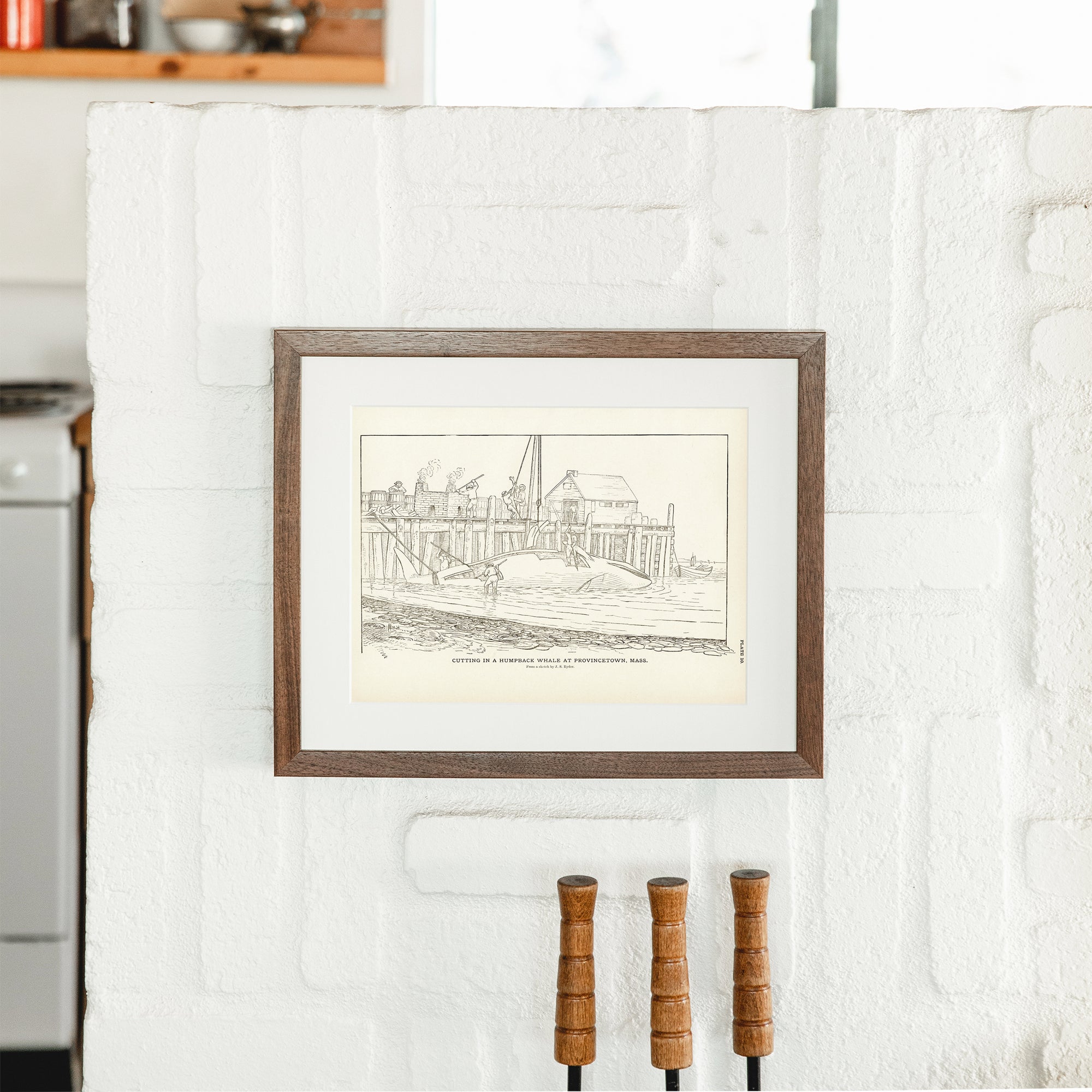Cutting Humpback Whale Art Print - Muir Way - Fisheries