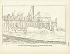 Cutting Humpback Whale Art Print - Muir Way - Fisheries