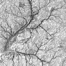 Delaware Elevation Map - Muir Way - Elevation
