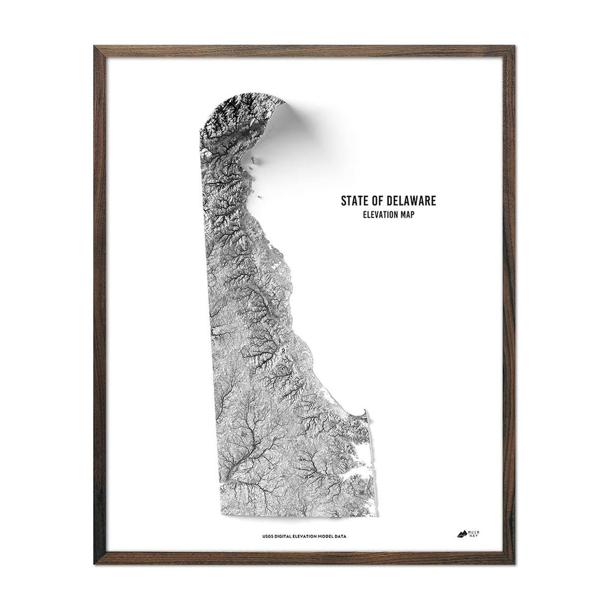 Delaware Elevation Map - Muir Way - Elevation