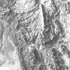 Florida Elevation Map - Muir Way - Elevation