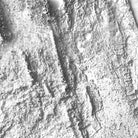 Florida Elevation Map - Muir Way - Elevation