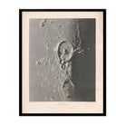 1874 Gassendi Moon Crater Print - Muir Way - Astronomy