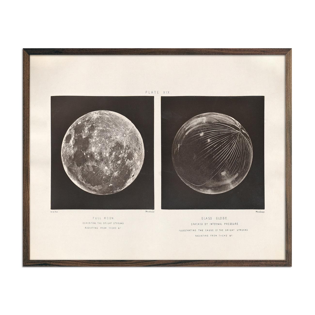 1874 Full Moon and Glass Globe Print - Muir Way - Astronomy