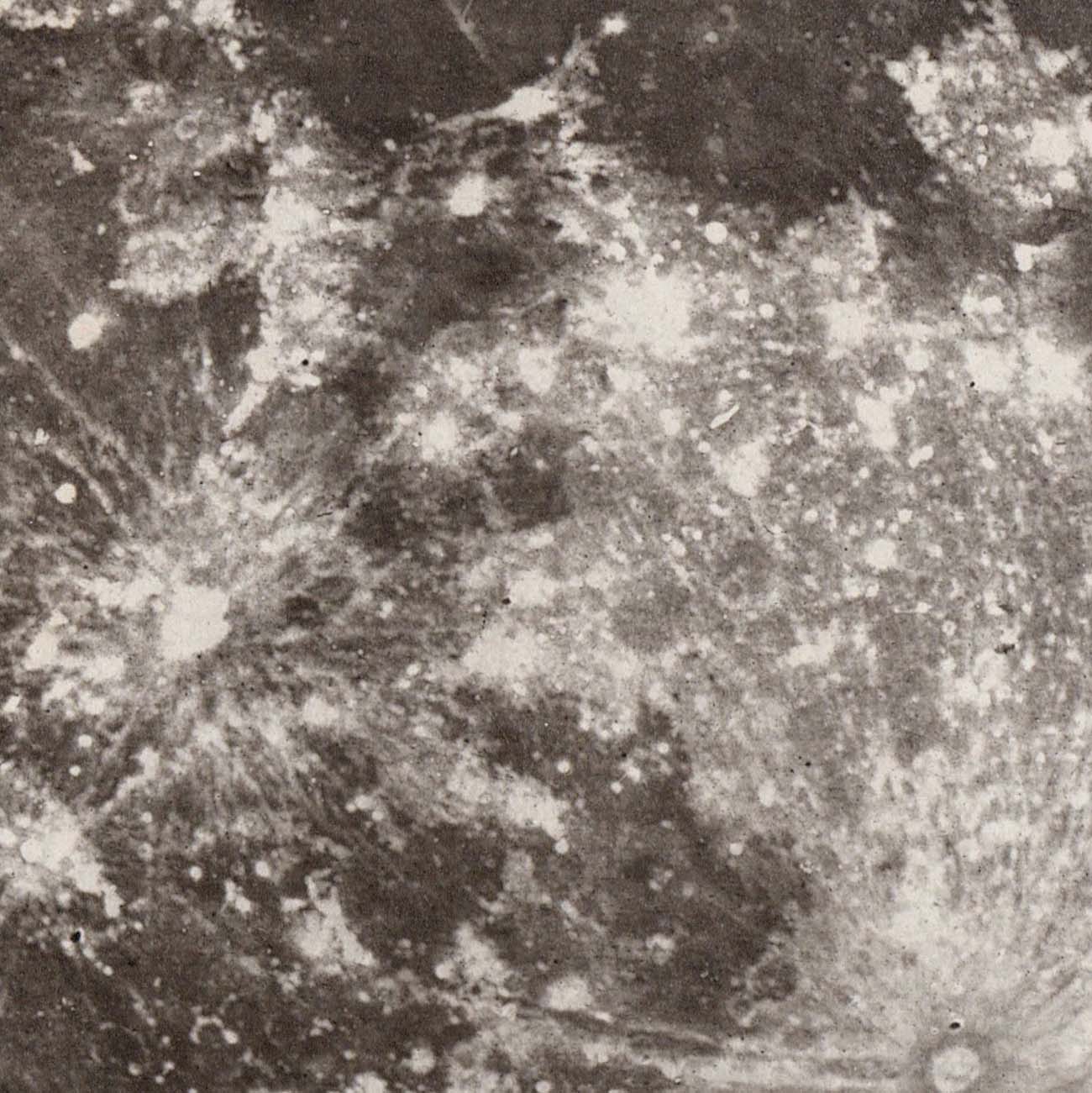 1874 Full Moon Print - Muir Way - Astronomy