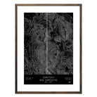 Gunstock, New Hampshire - Muir Way - TOPO Series