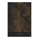 Gunstock, New Hampshire - Muir Way - TOPO Series