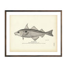 Haddock Art Print - Muir Way - Fisheries