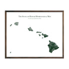 Hawaii Hydrological Map - Muir Way - Hydrology