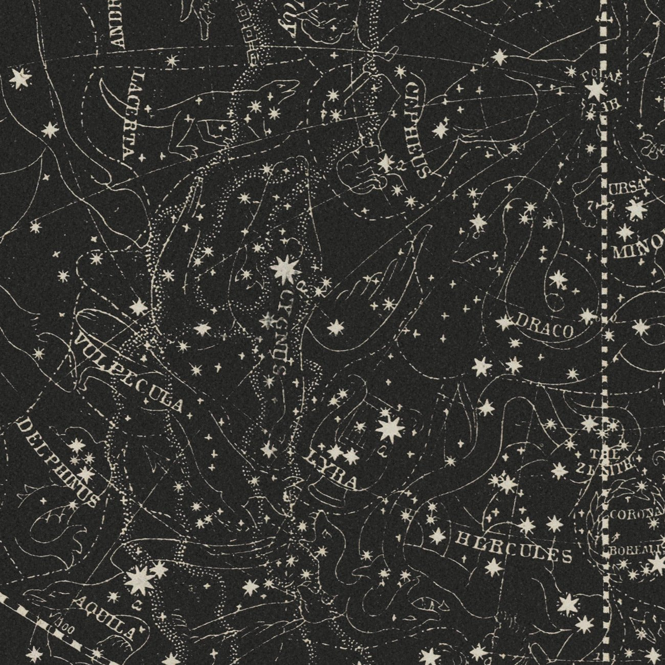 Map of the Heavens April - July 1850 - Muir Way - Vintage Map