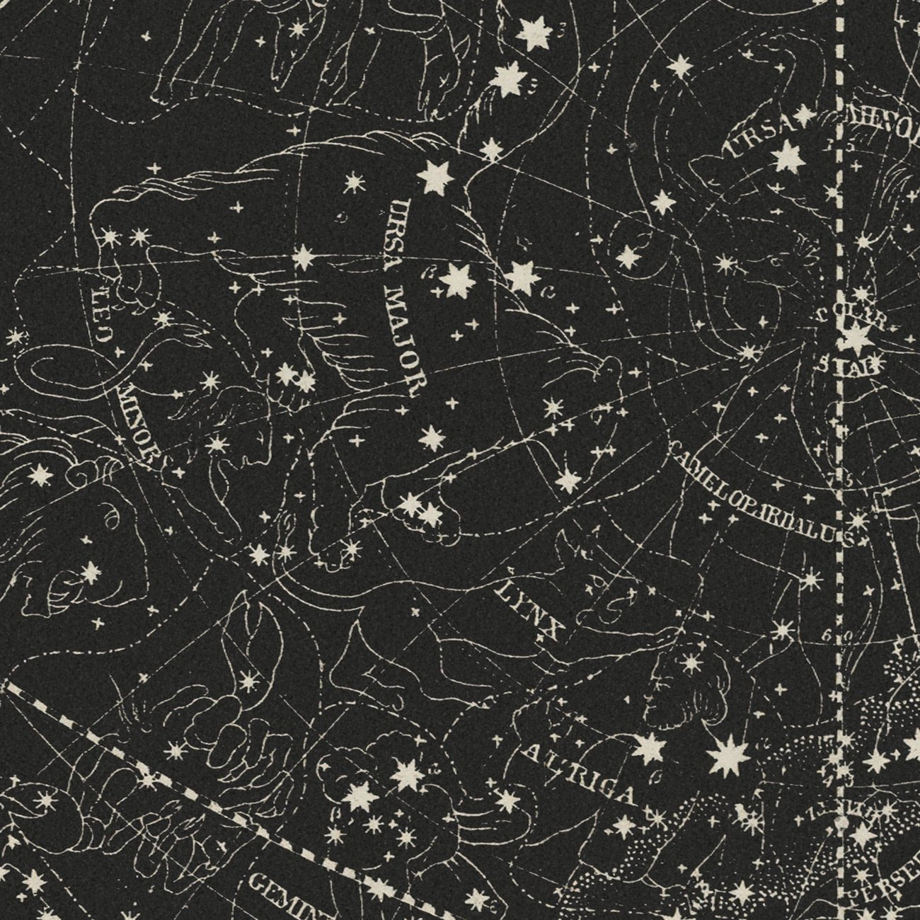 Map of the Heavens November - January 1850 - Muir Way - Vintage Map