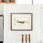 West Indian Seal Art Print - Muir Way - Fisheries