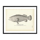 Jew - Fish (Warsaw) Art Print - Muir Way - Fisheries