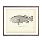 Jew - Fish (Warsaw) Art Print - Muir Way - Fisheries
