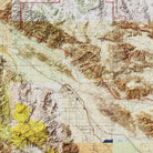 Joshua Tree Shaded Relief Map - Muir Way - Relief Series