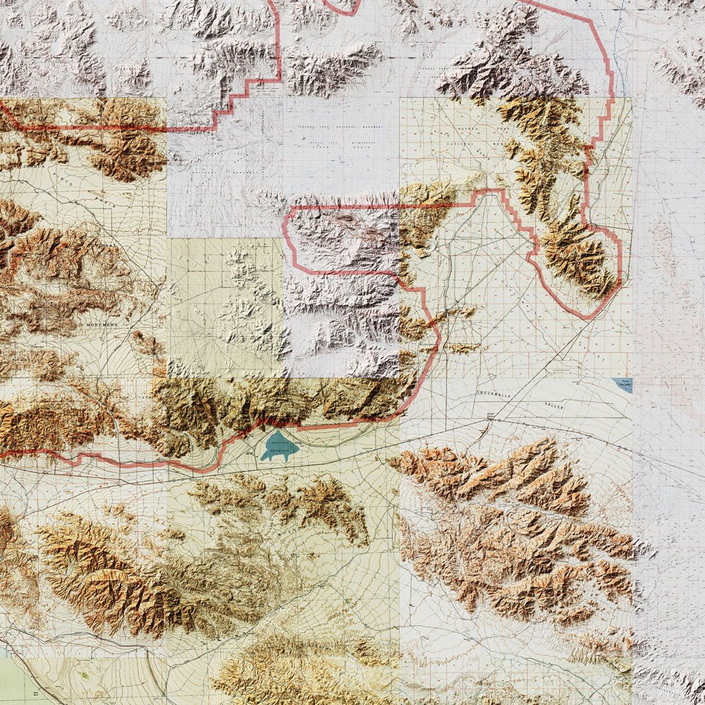 Joshua Tree Shaded Relief Map - Muir Way - Relief Series