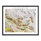 Joshua Tree Shaded Relief Map - Muir Way - Relief Series