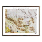 Joshua Tree Shaded Relief Map - Muir Way - Relief Series