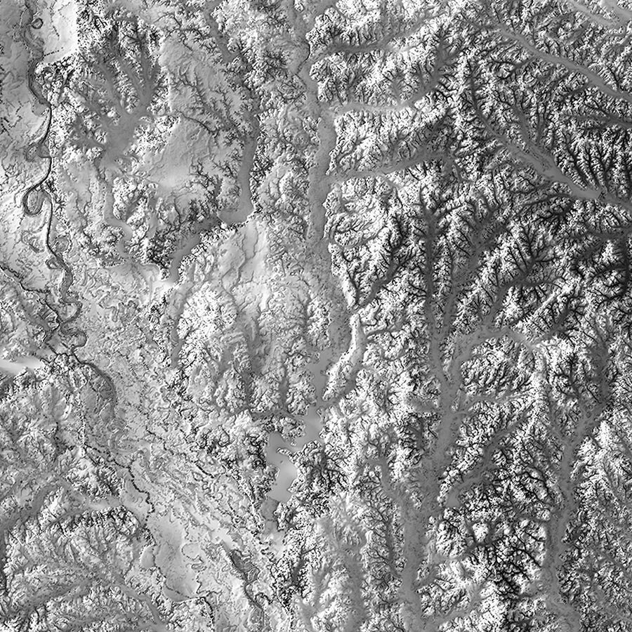 Louisiana Elevation Map - Muir Way - Elevation