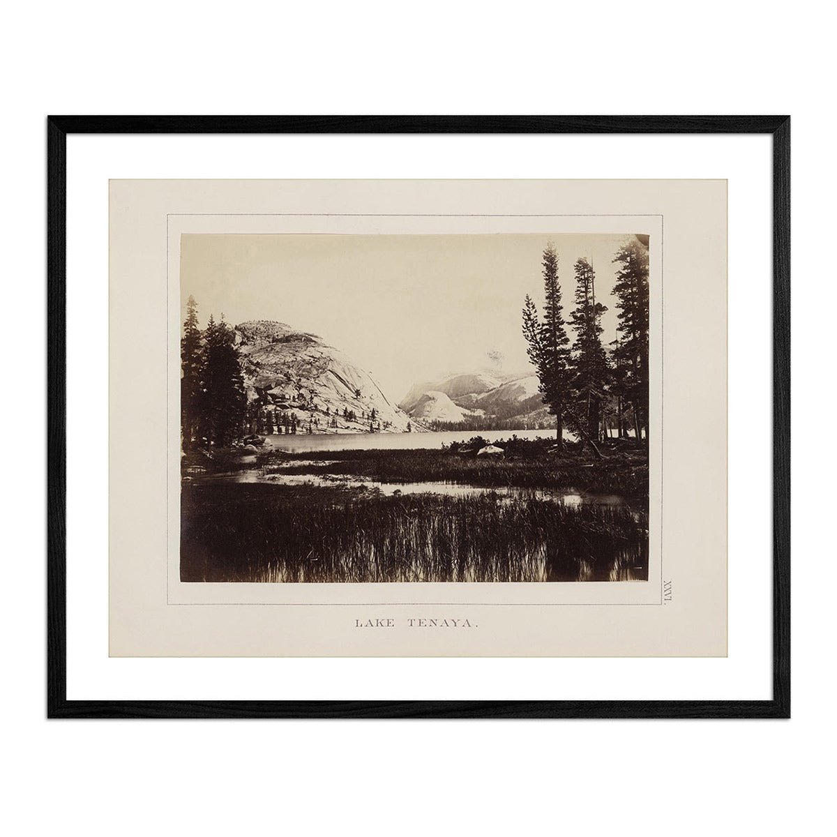 Lake Tenaya, Yosemite 1868 - Muir Way - Photograph