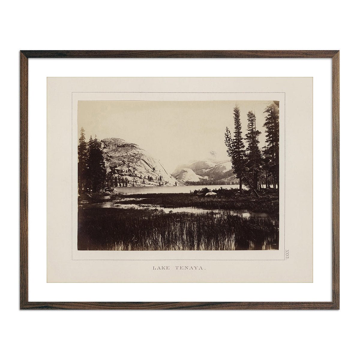Lake Tenaya, Yosemite 1868 - Muir Way - Photograph