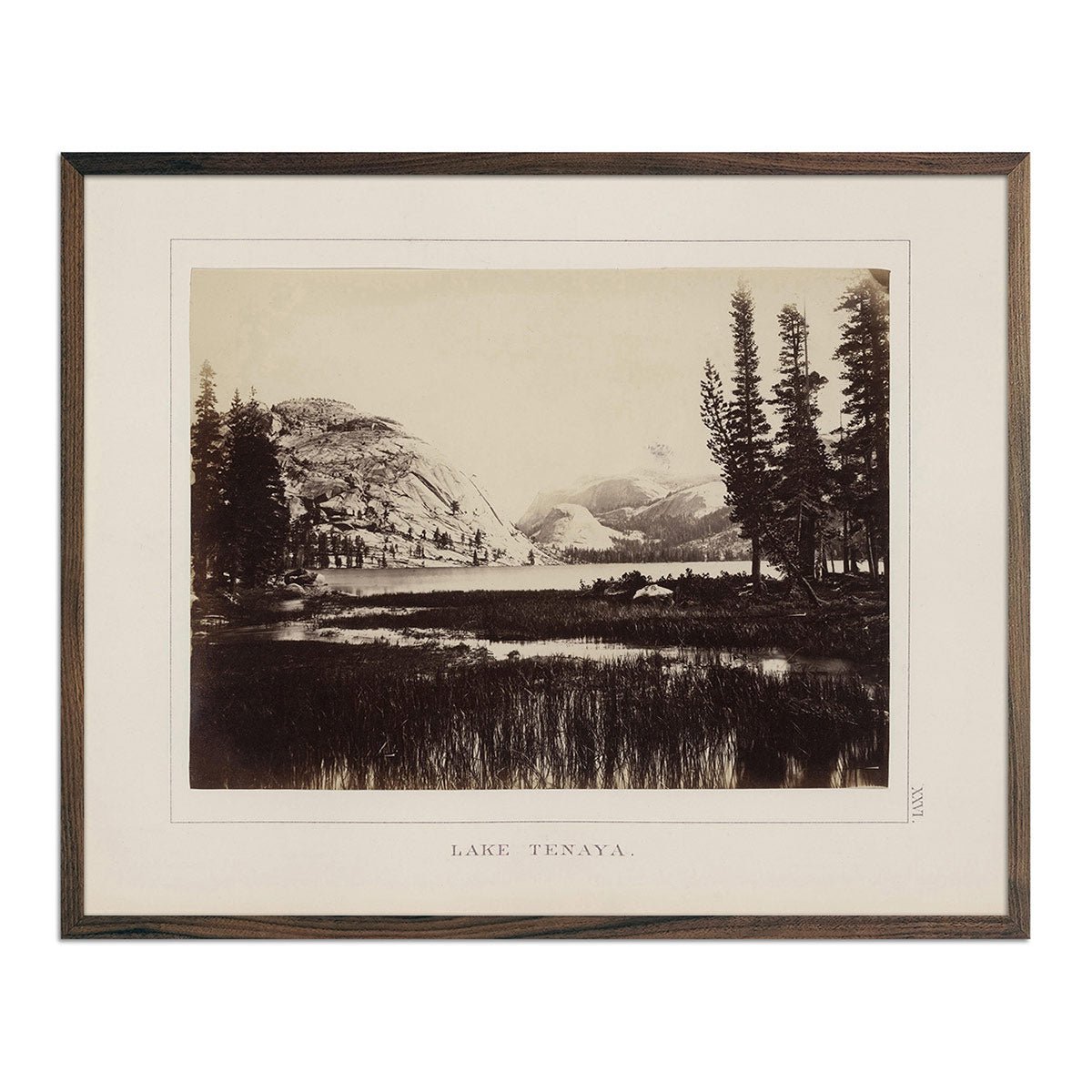 Lake Tenaya, Yosemite 1868 - Muir Way - Photograph