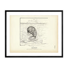Manatee Art Print - Muir Way - Fisheries
