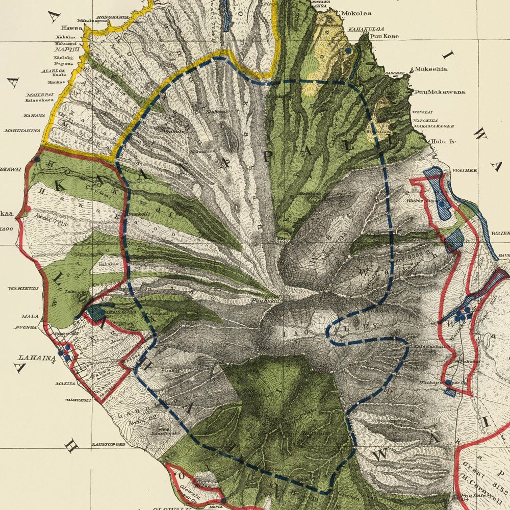 Maui Island 1903 Map - Muir Way - Vintage Map