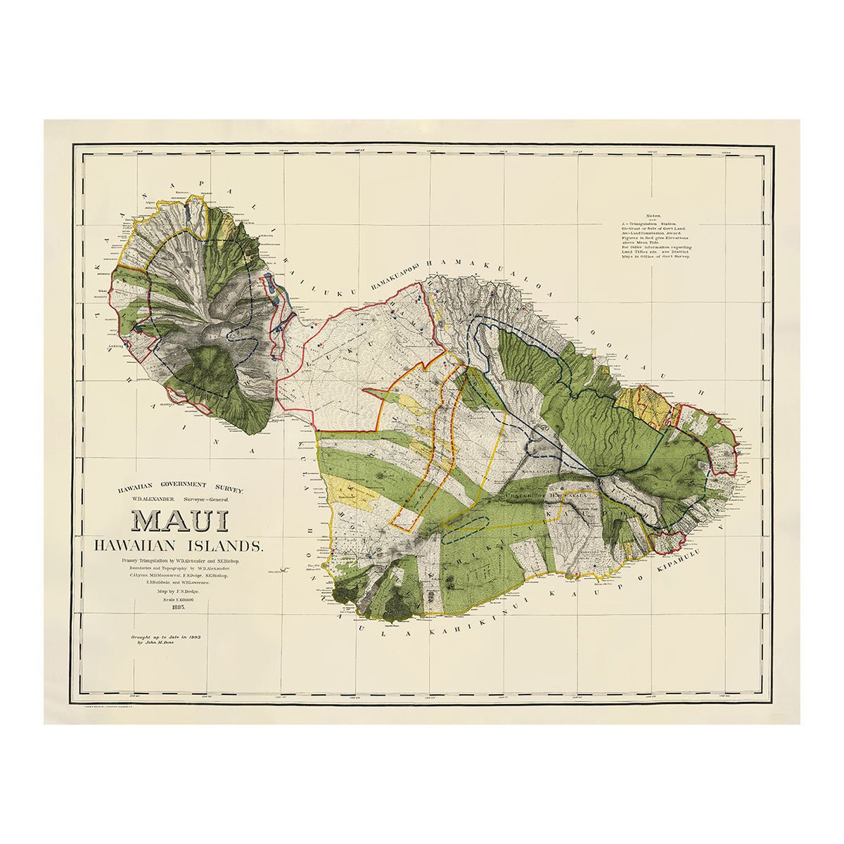 Maui Island 1903 Map - Muir Way - Vintage Map
