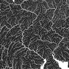 Mid Atlantic Regional Hydrological Map - Muir Way - Hydrology