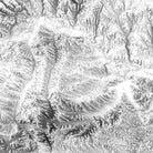Montana Elevation Map - Muir Way - Elevation