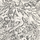 Mt. Rainier National Park Map 1946 - Muir Way - Vintage Map