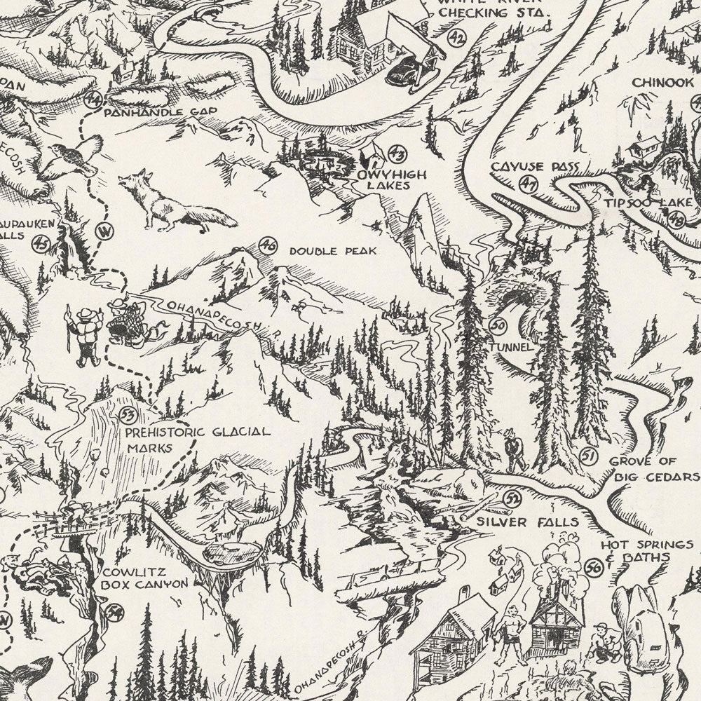 Mt. Rainier National Park Map 1946 - Muir Way - Vintage Map