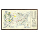 National Forests Map 1936 - Muir Way - Vintage Map