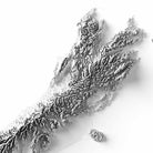 New Zealand Elevation Map - Muir Way - Elevation