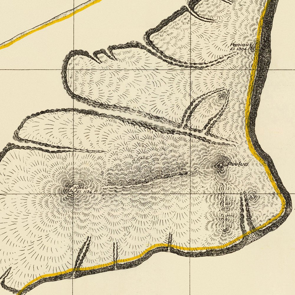 Niihau Island 1904 Map - Muir Way - Vintage Map