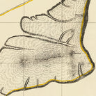 Niihau Island 1904 Map - Muir Way - Vintage Map