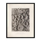 1874 Overlapping Moon Craters Print - Muir Way - Astronomy