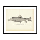 Red Horse Art Print - Muir Way - Fisheries