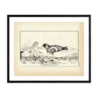 Ribbon Seal Art Print - Muir Way - Fisheries