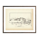 Ringed Seal Art Print - Muir Way - Fisheries