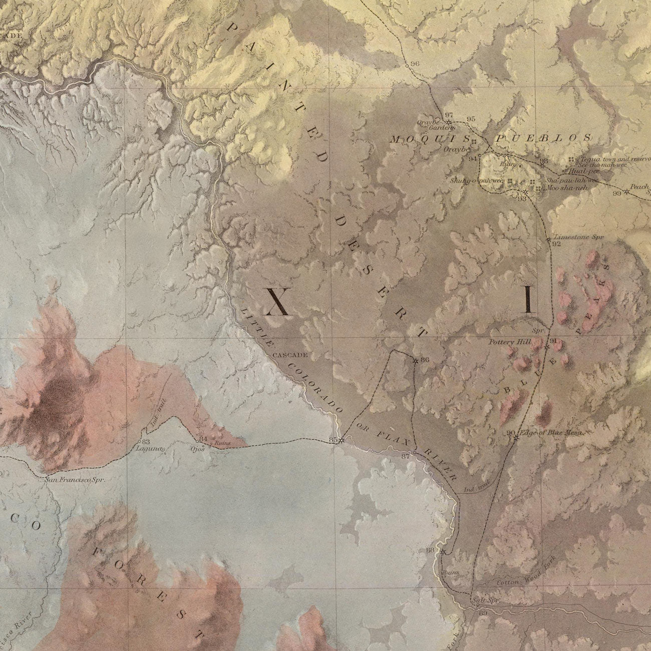 Rio Colorado Geologic 1858 Map - Muir Way - Vintage Map