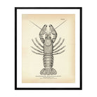 River Cray - Fish Art Print - Muir Way - Fisheries