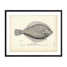 Rusty Dab Art Print - Muir Way - Fisheries
