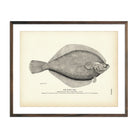 Rusty Dab Art Print - Muir Way - Fisheries