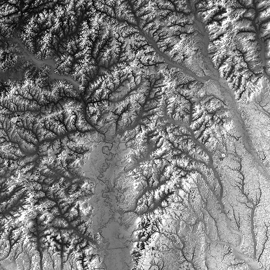 South Carolina Elevation Map - Muir Way -